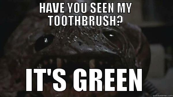 HAVE YOU SEEN MY TOOTHBRUSH? IT'S GREEN Misc