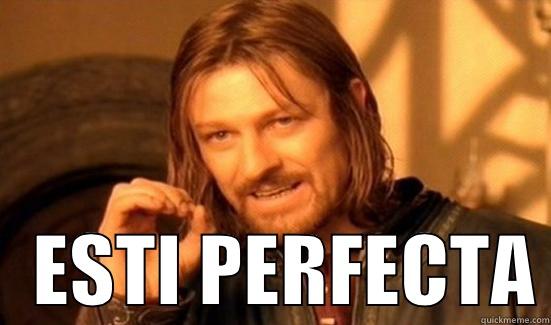     ESTI PERFECTA Boromir