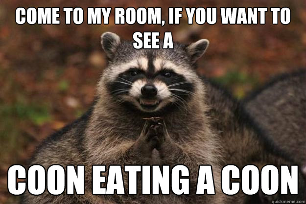 come to my room, if you want to see a coon eating a coon - come to my room, if you want to see a coon eating a coon  Evil Plotting Raccoon