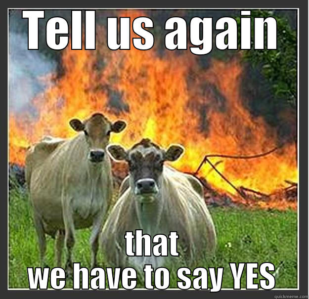 TELL US AGAIN THAT WE HAVE TO SAY YES Evil cows