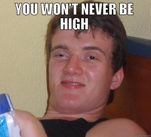 YOU WON'T NEVER BE HIGH  10 Guy