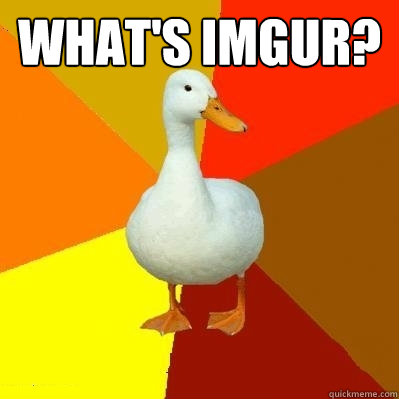 what's imgur?   Tech Impaired Duck