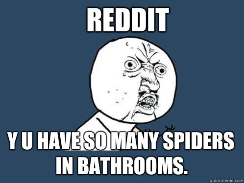 Reddit y u have so many spiders in bathrooms.  Y U No