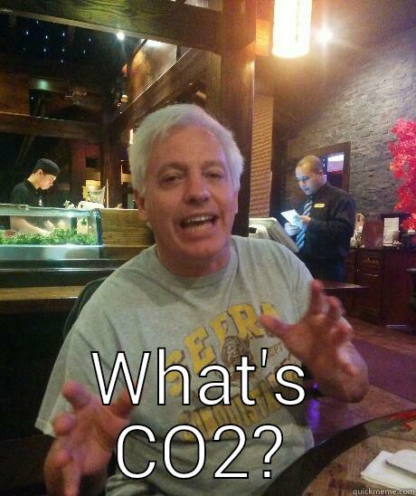  WHAT'S CO2? Misc