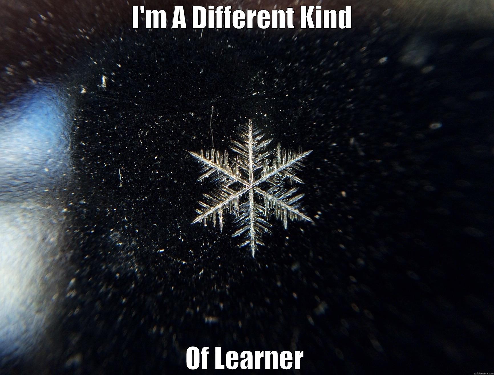 I'M A DIFFERENT KIND  OF LEARNER Misc