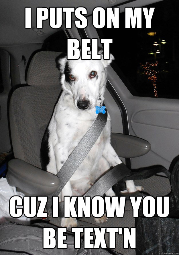 I puts on my belt Cuz I know you be text'n  - I puts on my belt Cuz I know you be text'n   Safety Pup