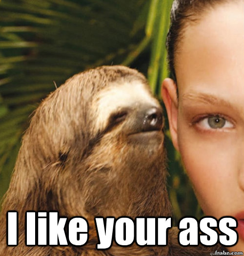  I like your ass  rape sloth