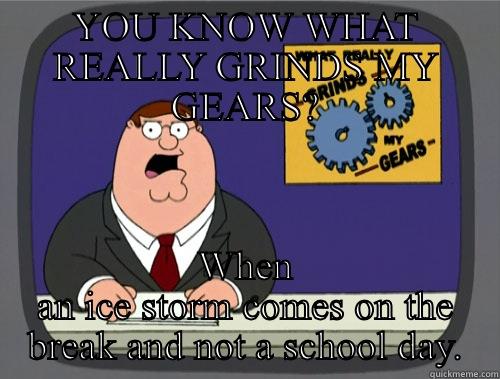 YOU KNOW WHAT REALLY GRINDS MY GEARS? WHEN AN ICE STORM COMES ON THE BREAK AND NOT A SCHOOL DAY. Grinds my gears