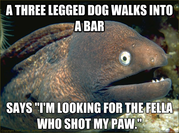 A three legged dog walks into a bar says 