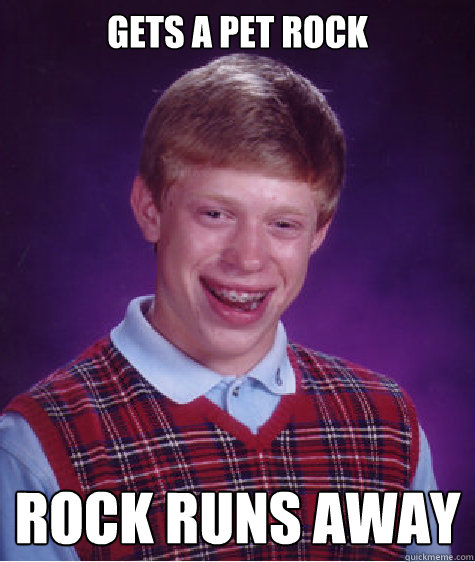 gets a pet rock rock runs away  Bad Luck Brian