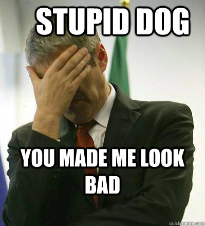 Stupid Dog you made me look bad - Stupid Dog you made me look bad  Prime Minister Facepalmer