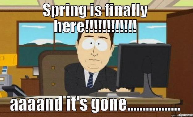 SPRING IS FINALLY HERE!!!!!!!!!!!! AAAAND IT'S GONE................. aaaand its gone