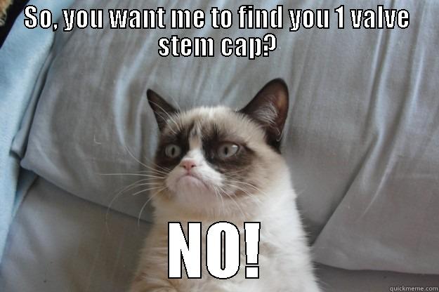 SO, YOU WANT ME TO FIND YOU 1 VALVE STEM CAP? NO! Grumpy Cat