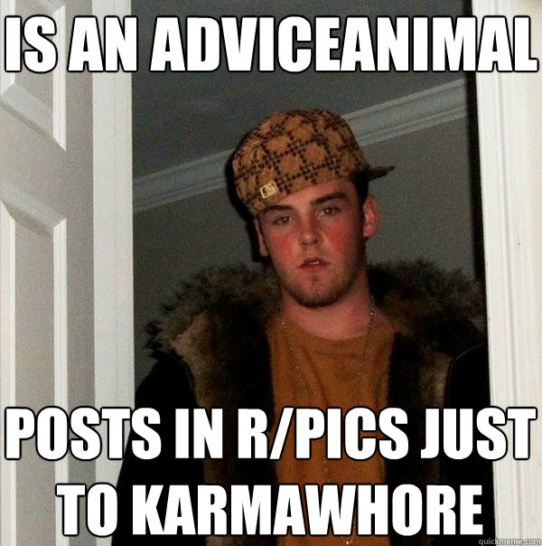 is an AdviceAnimal posts in r/pics just to karmawhore  Scumbag Steve