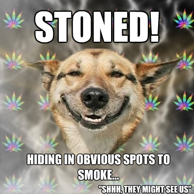 STONED! hiding in obvious spots to smoke... 