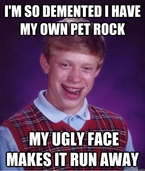 i'm so demented I have my own pet rock  my ugly face makes it run away  Bad Luck Brian