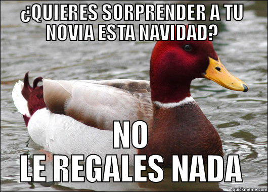 ¿QUIERES SORPRENDER A TU NOVIA ESTA NAVIDAD? NO LE REGALES NADA Malicious Advice Mallard