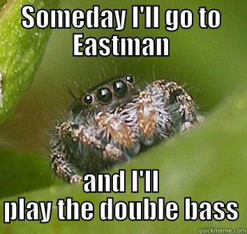 SOMEDAY I'LL GO TO EASTMAN AND I'LL PLAY THE DOUBLE BASS Misunderstood Spider