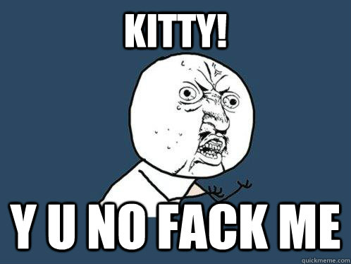 kitty! y u no Fack me - kitty! y u no Fack me  Y U No