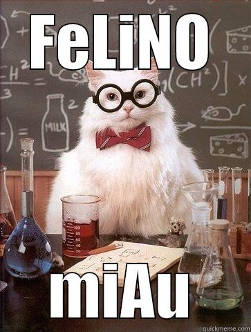 FELINO MIAU Chemistry Cat