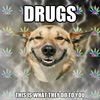 Drugs this is what they do to you  Stoner Dog