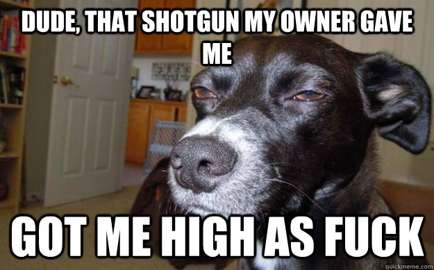 Dude, that shotgun my owner gave me got me high as fuck  Skeptical Mutt