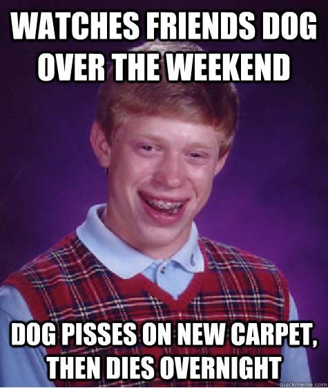 Watches friends dog over the weekend Dog pisses on new carpet, then dies overnight  Bad Luck Brian