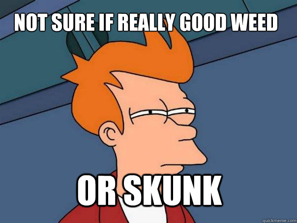 Not sure if really good weed or skunk  Futurama Fry