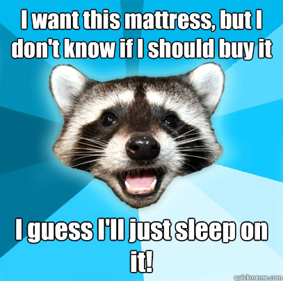 I want this mattress, but I don't know if I should buy it I guess I'll just sleep on it!  Lame Pun Coon