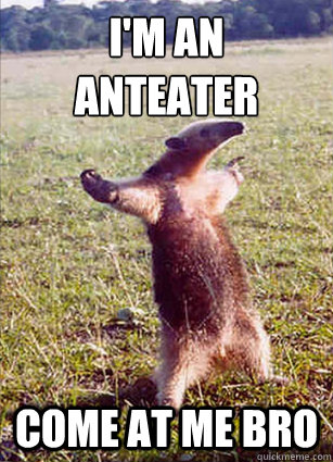 I'm an Anteater
 Come at me Bro  Defiace Anteater