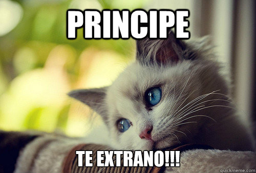 PRINCIPE TE EXTRANO!!!  First World Problems Cat