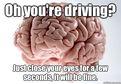 Oh you're driving?  Just close your eyes for a few seconds, it will be fine.    Scumbag Brain