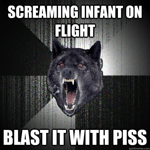 Screaming infant on flight Blast it with piss  Insanity Wolf