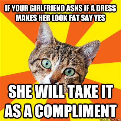 If your girlfriend asks if a dress makes her look fat say yes She will take it as a compliment  Bad Advice Cat