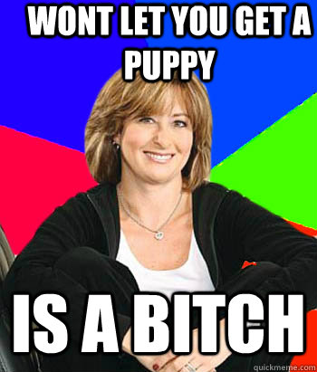 Wont let you get a puppy is a bitch  Sheltering Suburban Mom