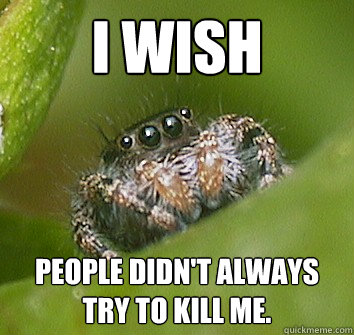 I wish people didn't always try to kill me.  Misunderstood Spider