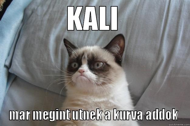 KALI MAR MEGINT UTNEK A KURVA ADDOK Grumpy Cat