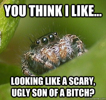 You Think I like... Looking Like A Scary, Ugly Son of a bitch?   Misunderstood Spider