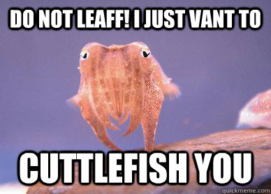 Do not leaff! I just vant to Cuttlefish you - Do not leaff! I just vant to Cuttlefish you  Lonely Cuttlefish