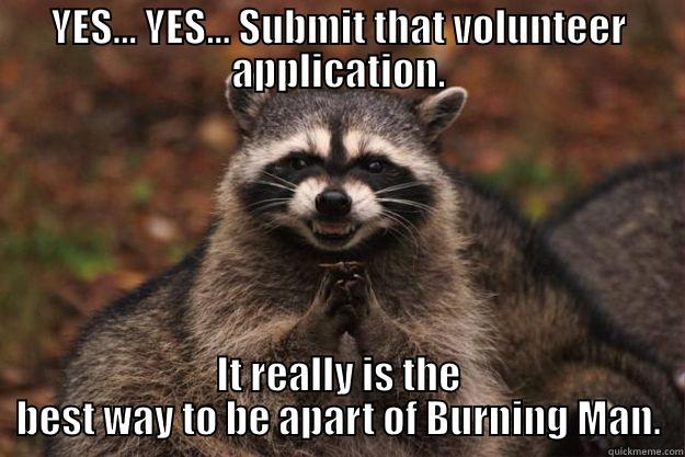 YES... YES... SUBMIT THAT VOLUNTEER APPLICATION. IT REALLY IS THE BEST WAY TO BE APART OF BURNING MAN. Evil Plotting Raccoon