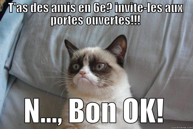 T'AS DES AMIS EN 6E? INVITE-LES AUX PORTES OUVERTES!!! N..., BON OK! Grumpy Cat