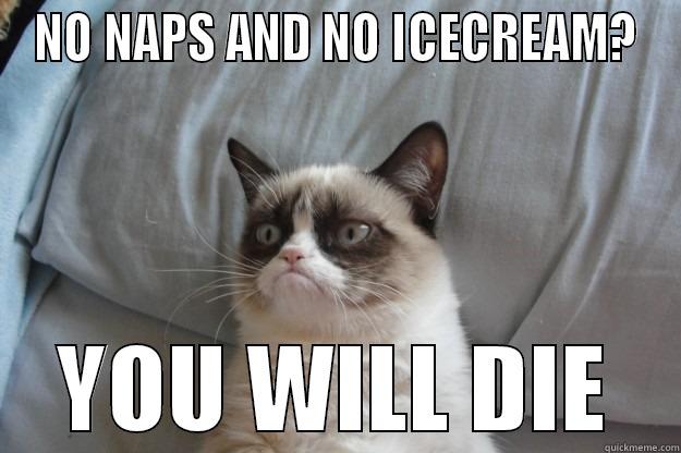 GRUMPY CAT - NO NAPS AND NO ICECREAM? YOU WILL DIE Grumpy Cat