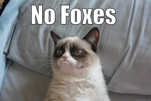 NO FOXES  Grumpy Cat