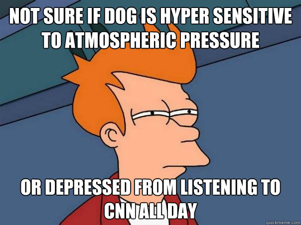 Not sure if dog is hyper sensitive to atmospheric pressure Or depressed from listening to cnn all day - Not sure if dog is hyper sensitive to atmospheric pressure Or depressed from listening to cnn all day  Futurama Fry