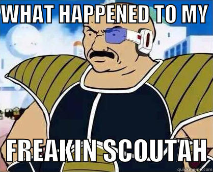 WHAT HAPPENED TO MY    FREAKIN SCOUTAH Misc