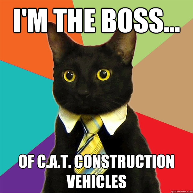 i'm the boss... of c.a.t. construction vehicles  Business Cat