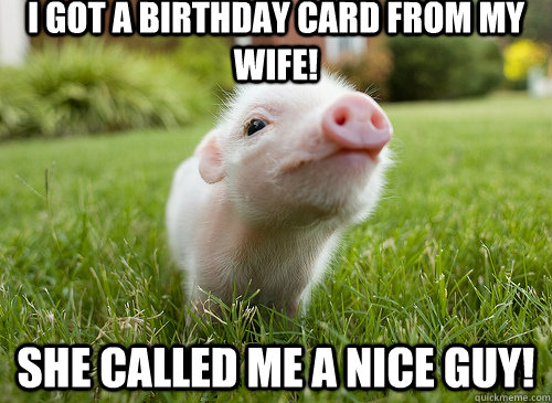 I got a Birthday Card from my wife! She called me a NICE GUY!  baby pig