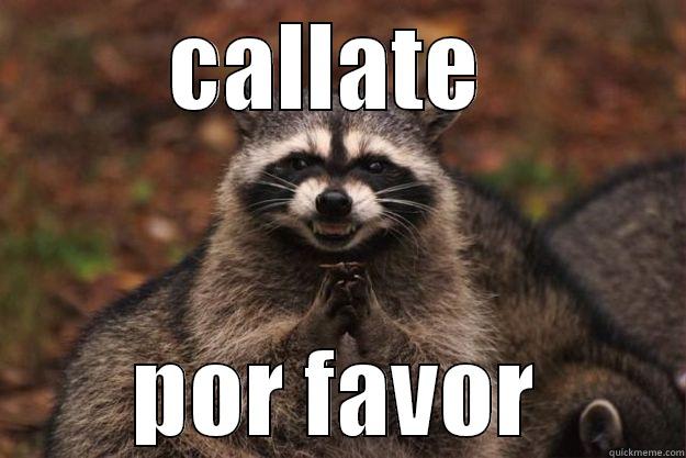 CALLATE  POR FAVOR Evil Plotting Raccoon