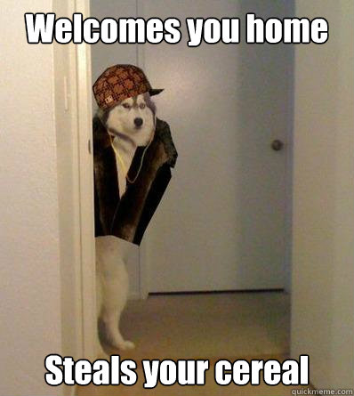 Welcomes you home Steals your cereal  Scumbag dog