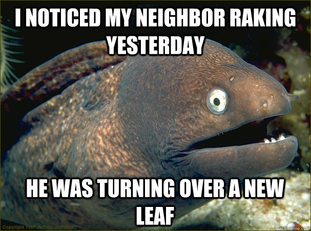 I noticed my neighbor raking yesterday He was turning over a new leaf  Bad Joke Eel